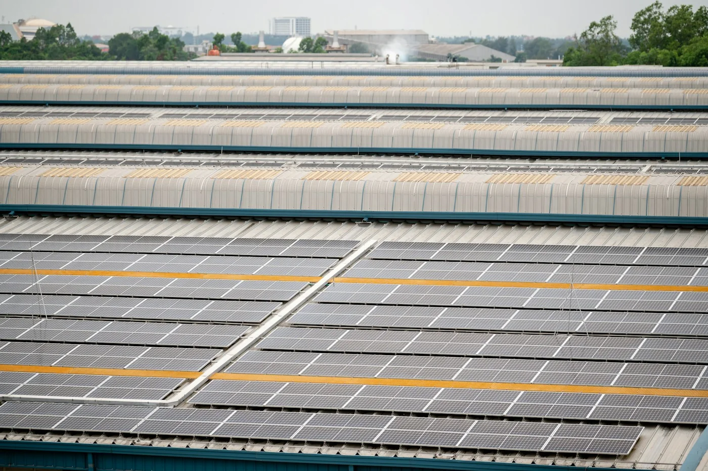 Rows of installed photovoltaic panels